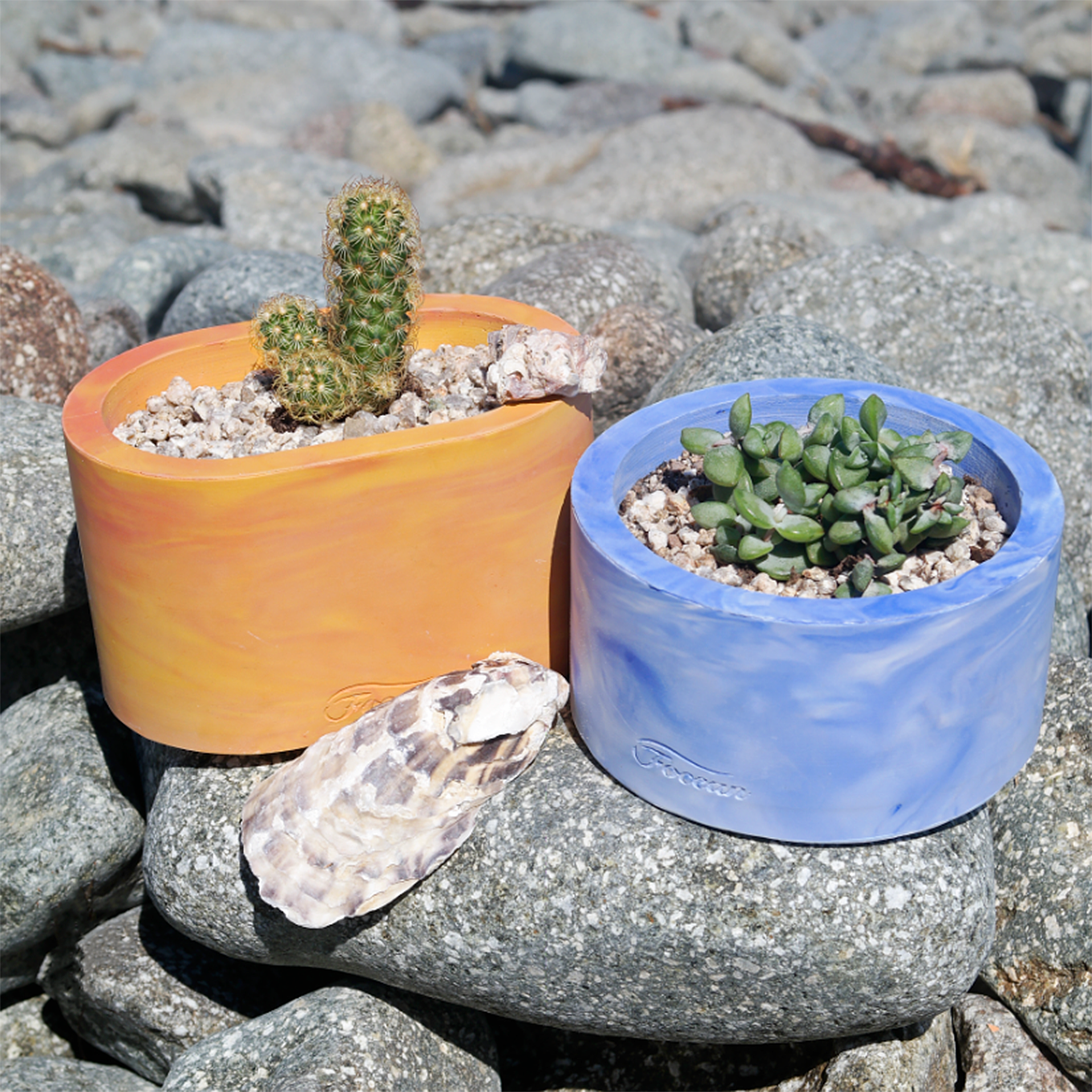 房间一角的海与天？环保牡蛎壳花盆“Shelter”