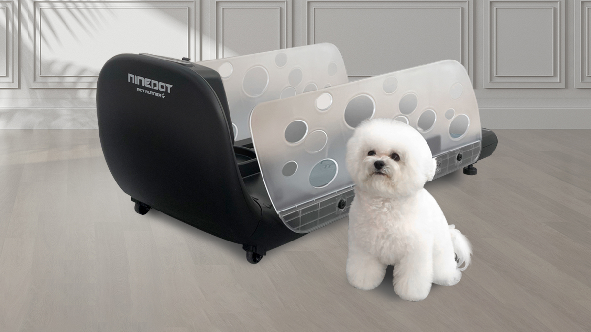 天気や散歩の心配なし！愛犬専用の室内散歩スペース『ペットランナー