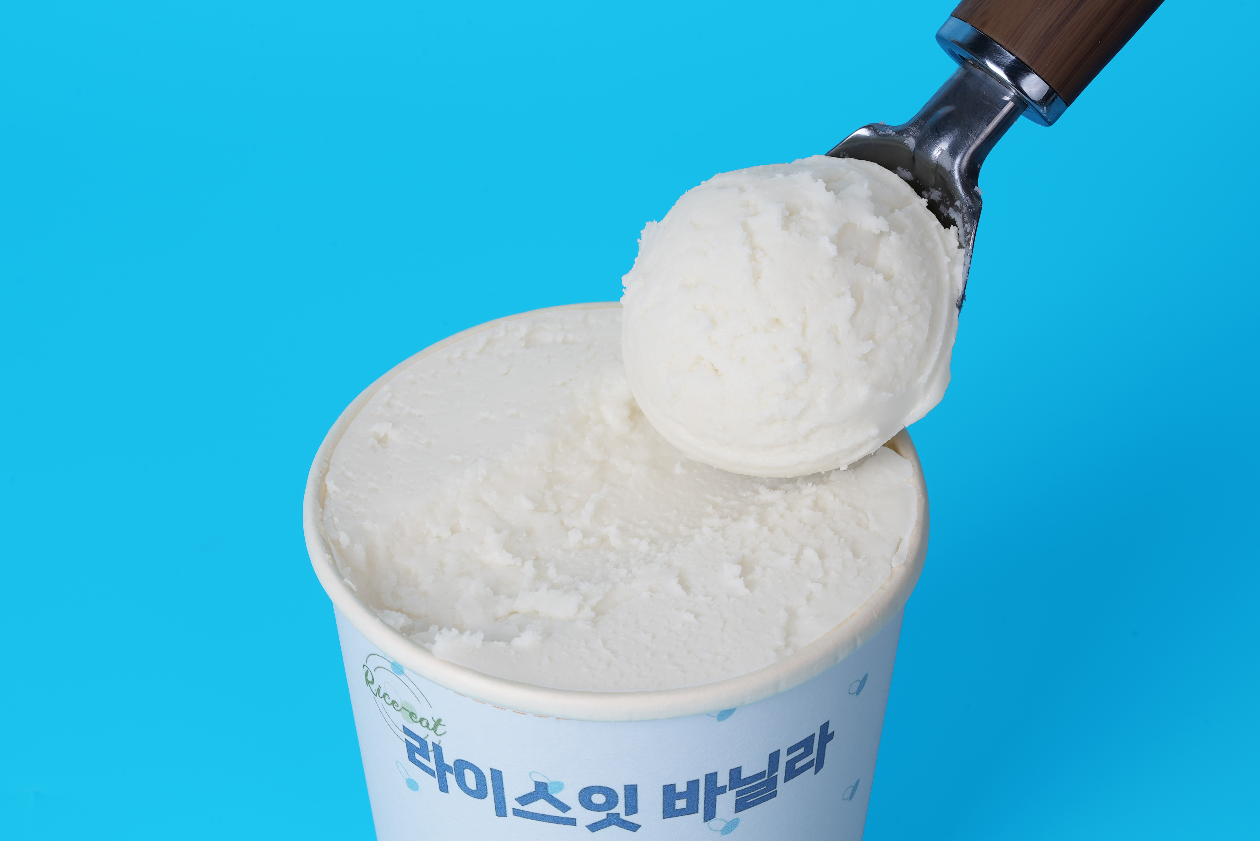 [NO유제품 NO계란] 쫀득한 100% 순식물성 바닐라 쌀아이스크림