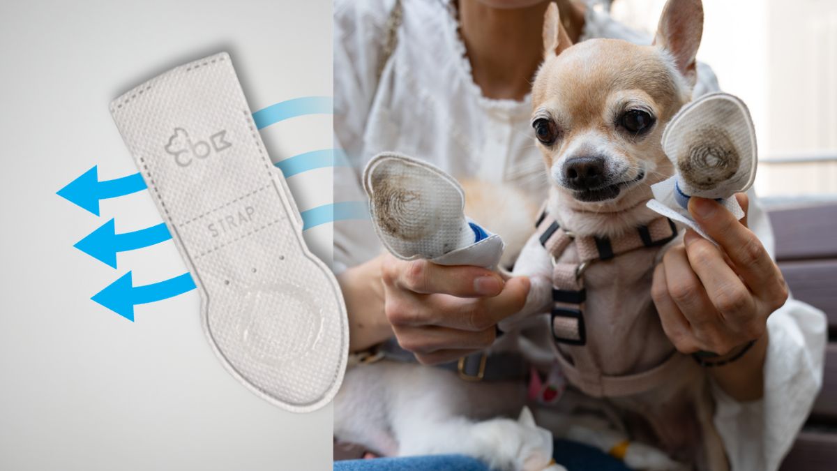 Breathe Easy & Waterproof: KoboKong NEW Air Shoes for Dogs