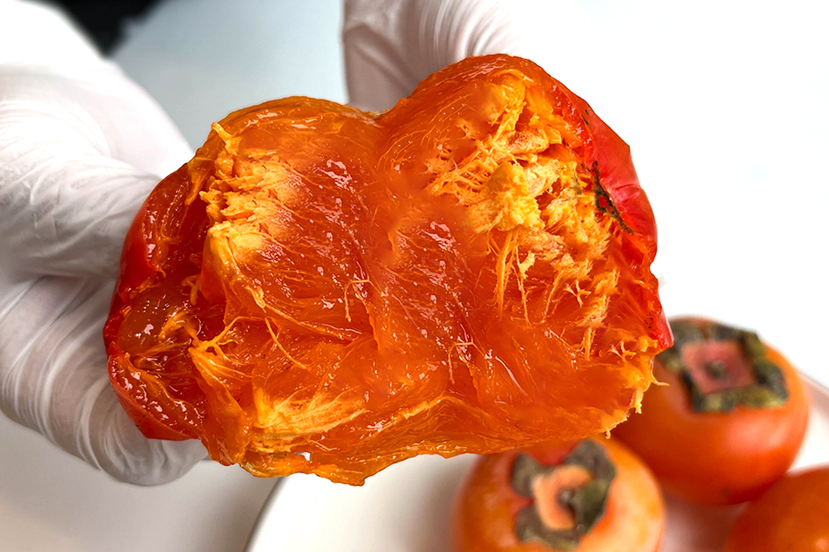 Daebong Persimmon | The soft moist sweetness that comes after waiting—the king of persimmons Daebong.