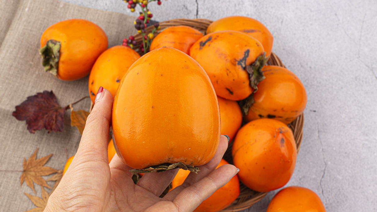 [秋季水果之王！大棒柿] 甜蜜细腻的美味柿子