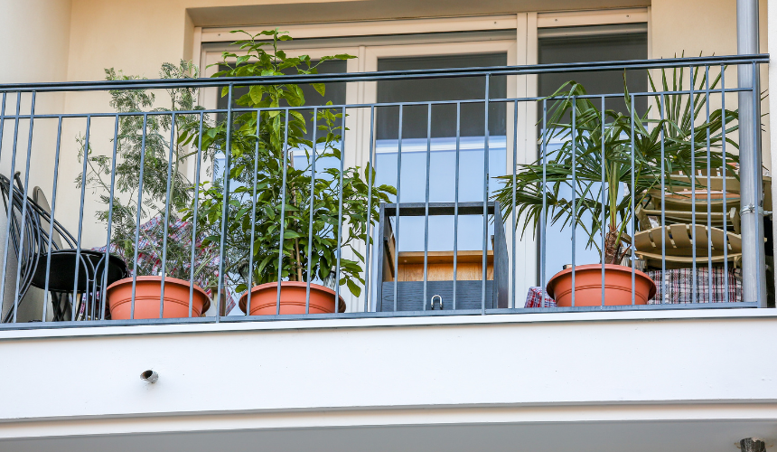 ใ
๋ฐ์ฝ๋์๋ฌผ.png