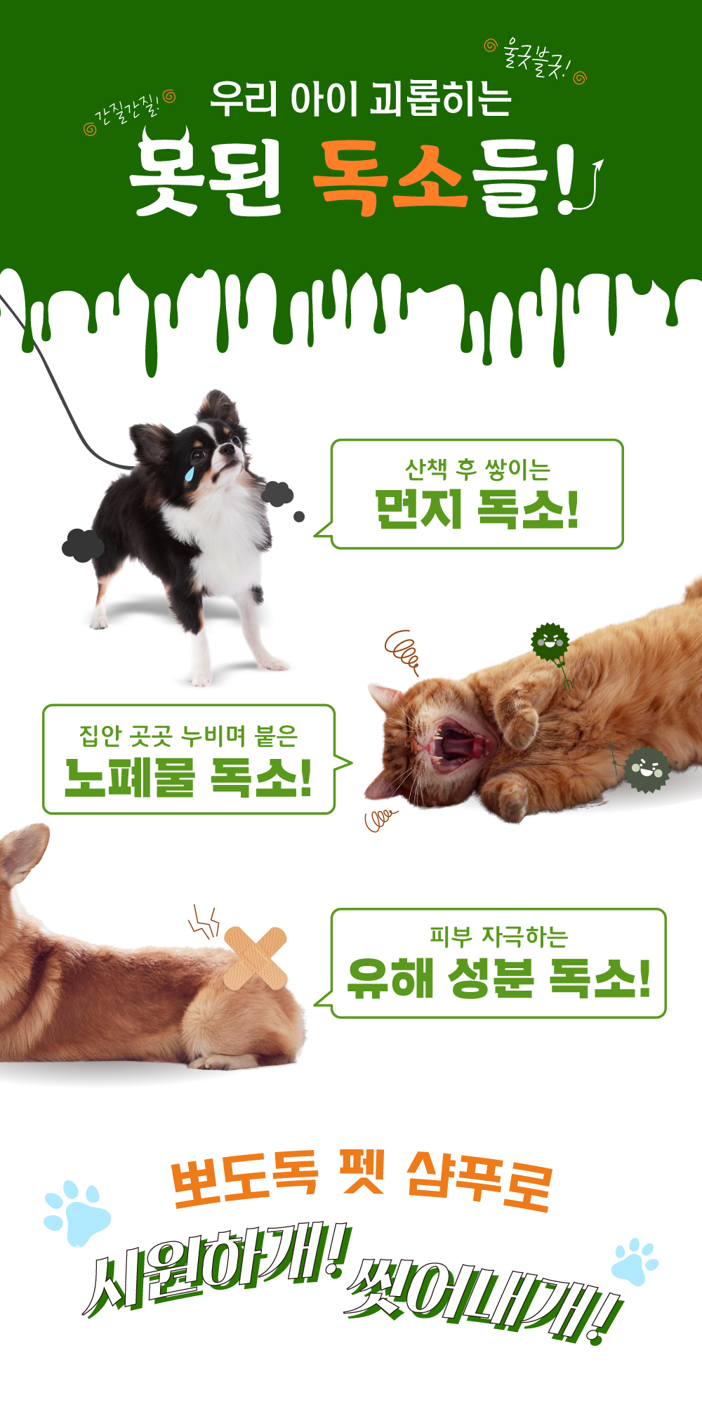 배경제거2.jpg