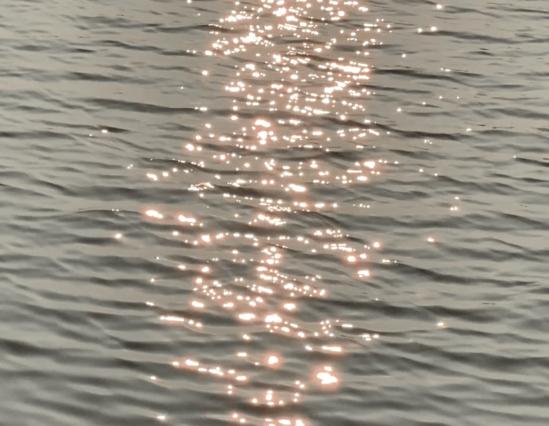 추가1_윤슬.gif