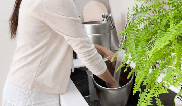 ๊ด๋ฆฌ๋ณด๊ด ๊ตฟ.gif