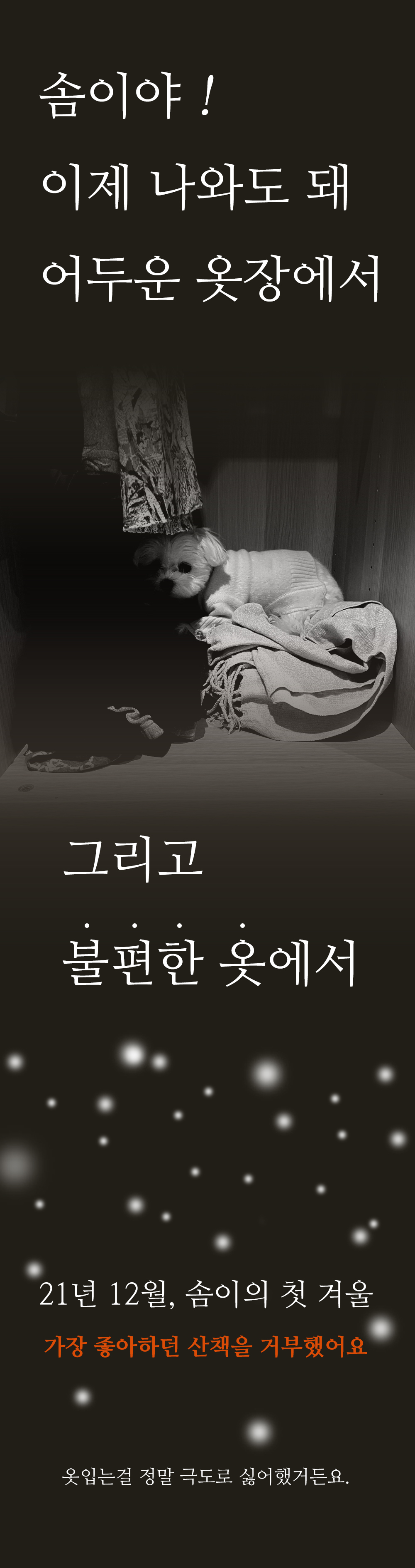 제페토_상세_01.jpg