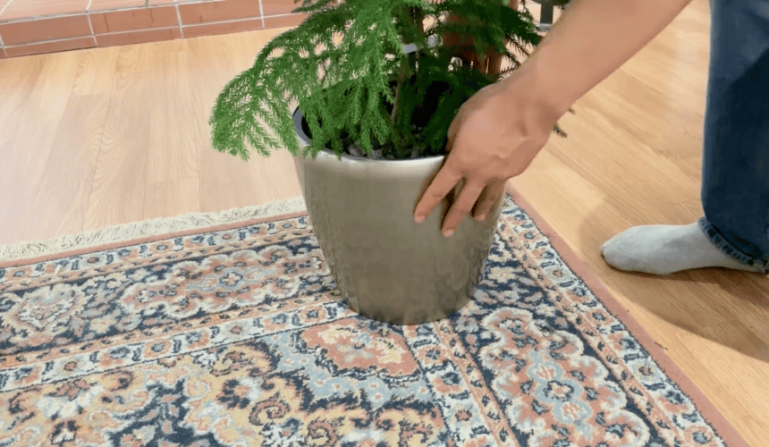 ์ค์ผ ์์ด์.gif