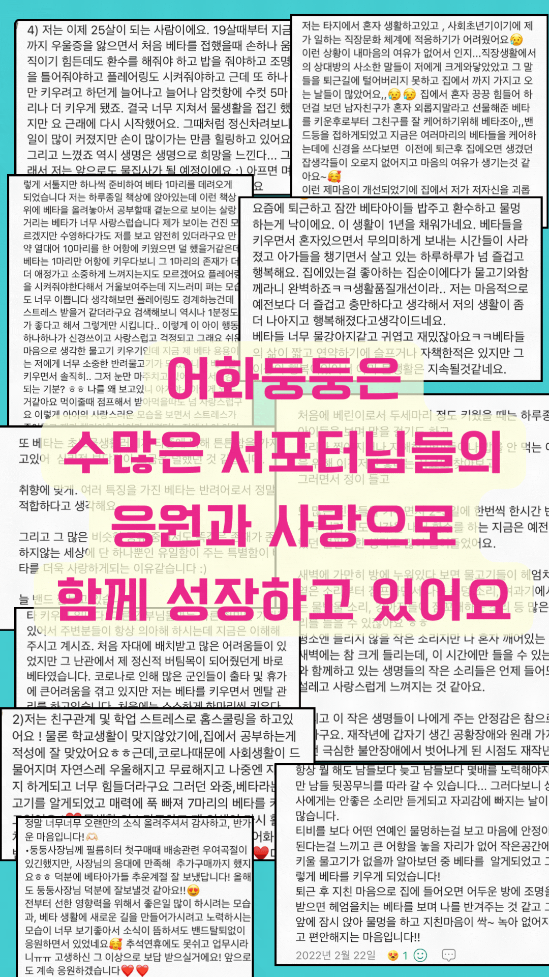 2020년 어느 겨울날. 평소와 다름없이 방에 틀어박혀 있는데, 가해자로부터 협박이 담긴 이메일을 받았습니다. 3년 동안 잘 버티고 또 버텼다고 생각했는데, 그날 만큼은 그게 참 어려웠던 것 같아요. 눈을 떠보니 중환자실이었어요. 퇴원하고 집에 가니 '행복이'가 용궁에 갔더라구요. '행운이'는 살아서 저를 반겨주고 있었구요. 자퇴 신청서를 내고 집에 (20).gif