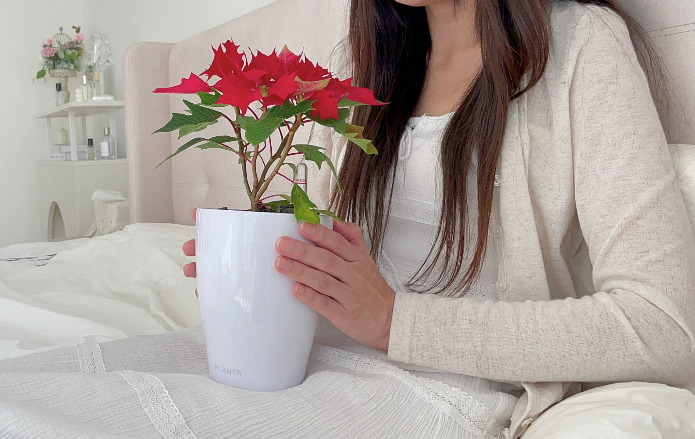 แแ
กแแ
กแฝใด.png