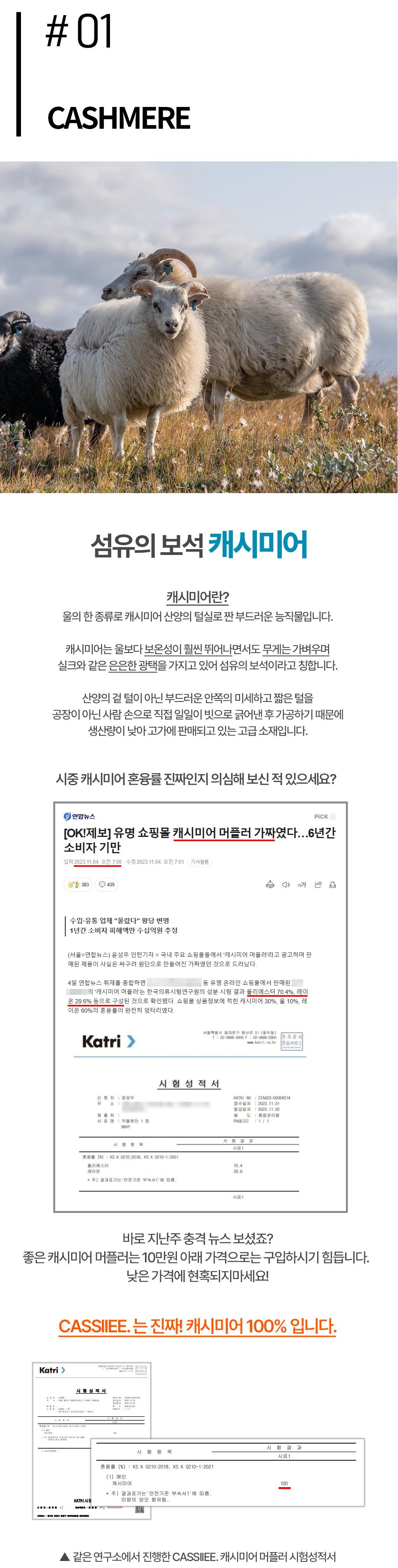 와디즈_02.jpg