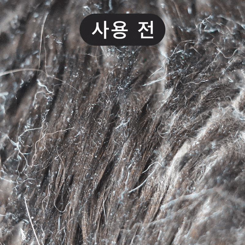 목욕사진비포애프터.gif