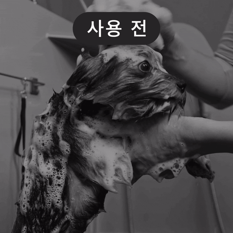 물목욕vs시카.gif