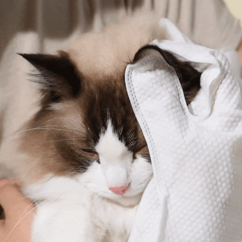 얼굴닦아.gif