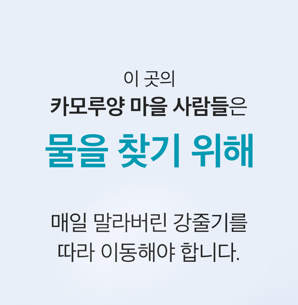 z6.jpg