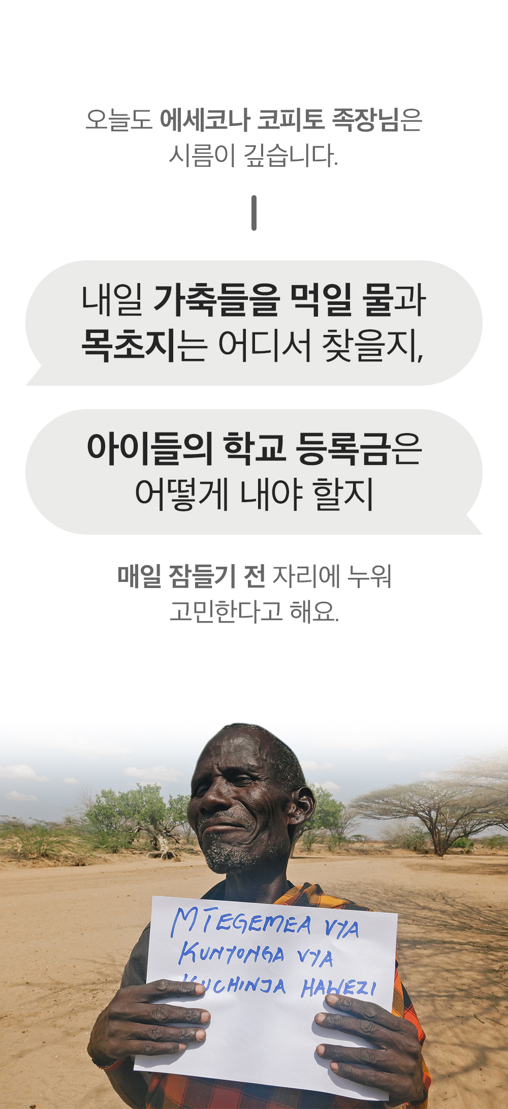 z7.jpg