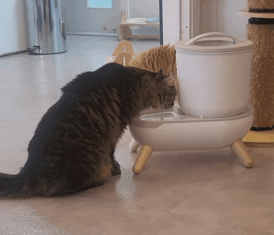 KakaoTalk_20230321_071021448.gif