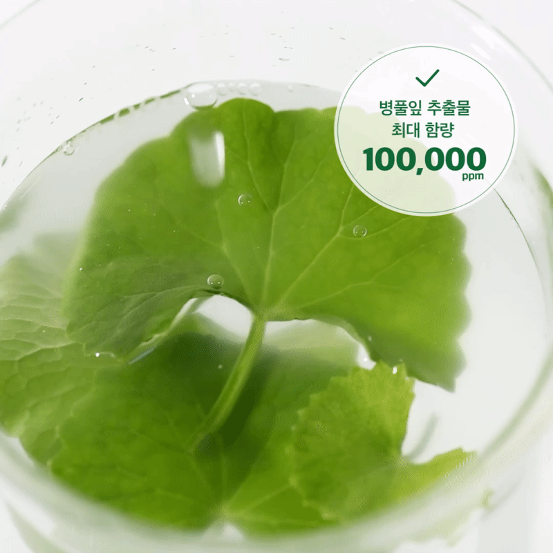 병풀잎추출물.gif