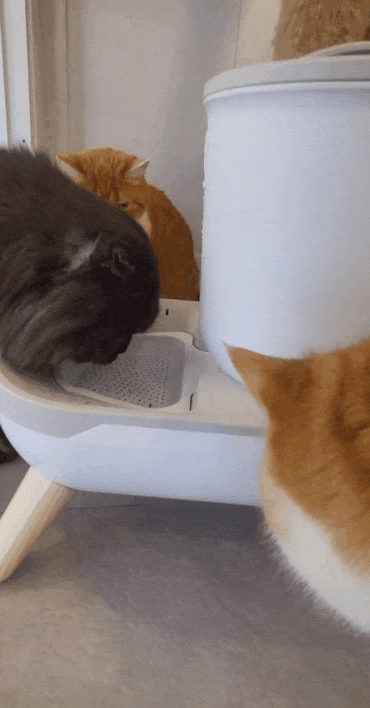 가슴털 물에 젖지 않도록 하는 배수장치.gif