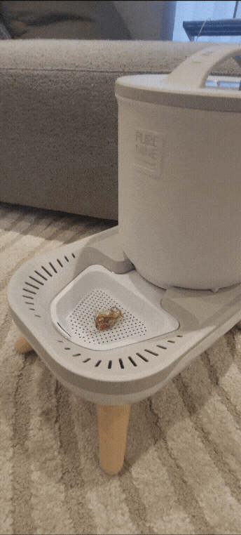 GIF12.gif