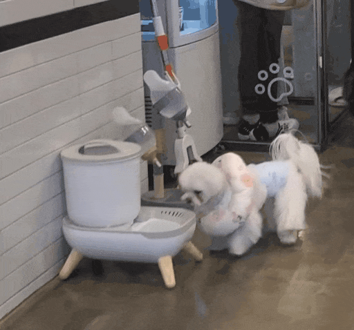 KakaoTalk_20230320_071144459.gif