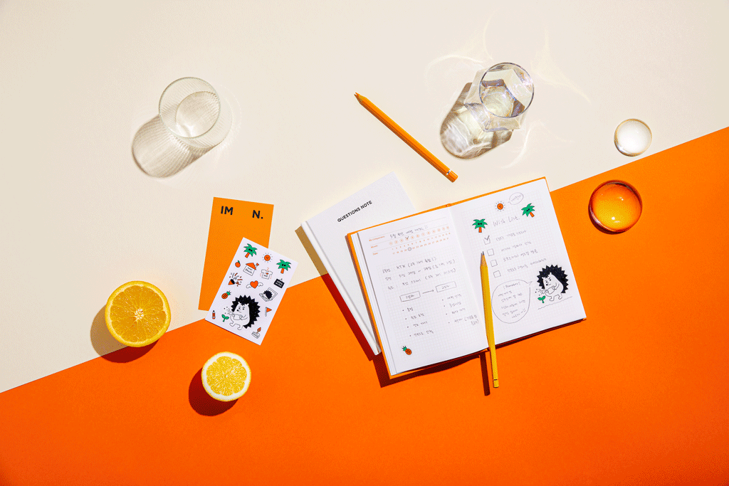 IMN의 탄생3_IMN미리보기.gif