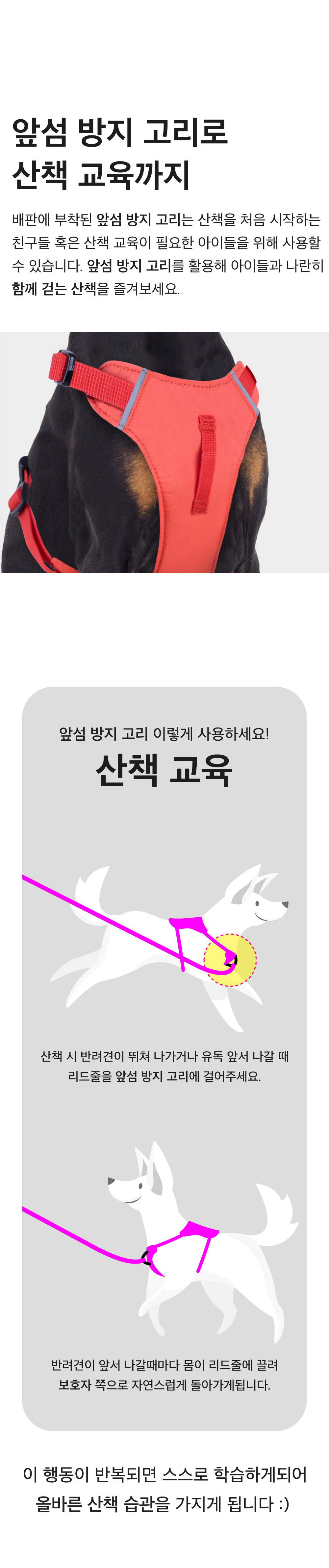 상세페이지_와디즈_하네스,리드줄22.png