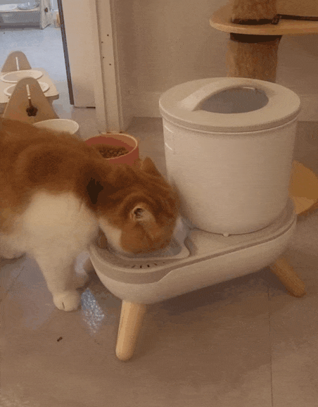 KakaoTalk_20230321_070025386.gif