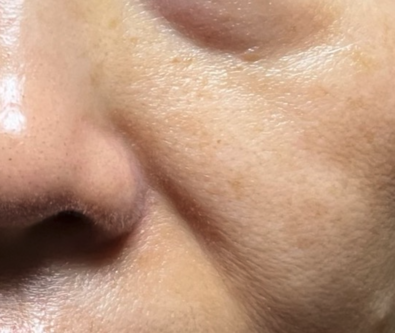 Screen Shot 2023-11-06 at 12.35.04 PM.png