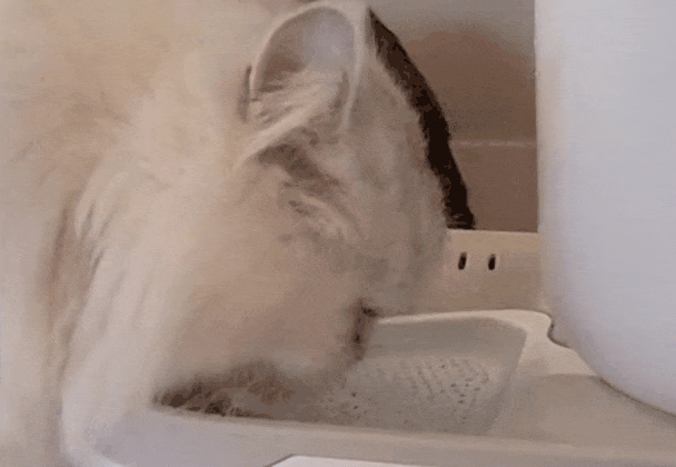 KakaoTalk_20230628_190230015.gif
