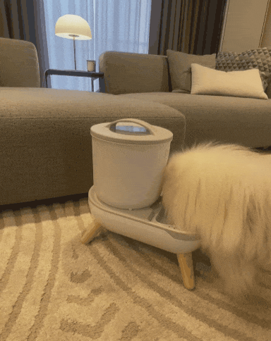 KakaoTalk_20230320_084515075.gif