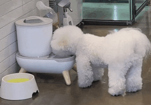KakaoTalk_20230320_072602928.gif