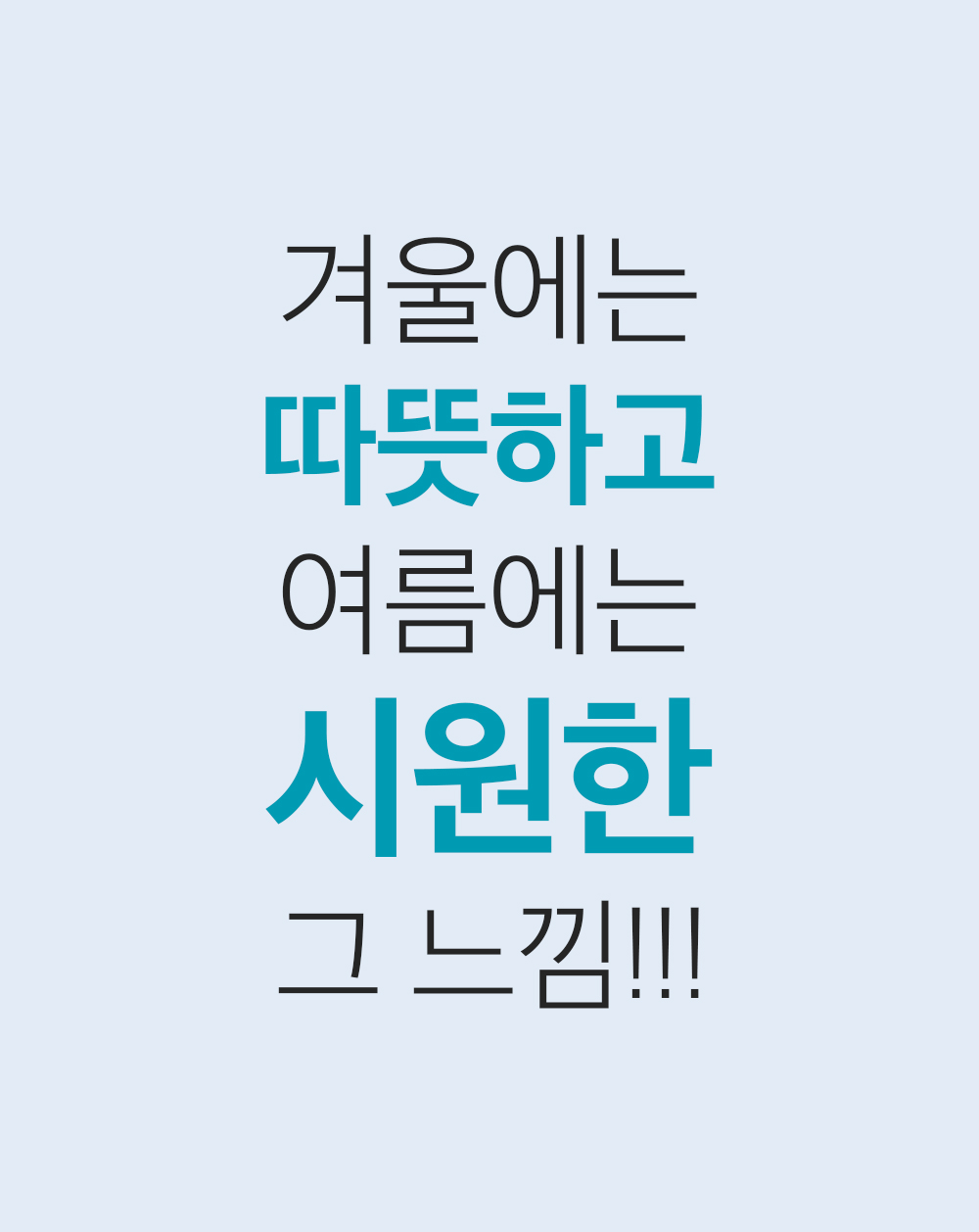 z20.jpg