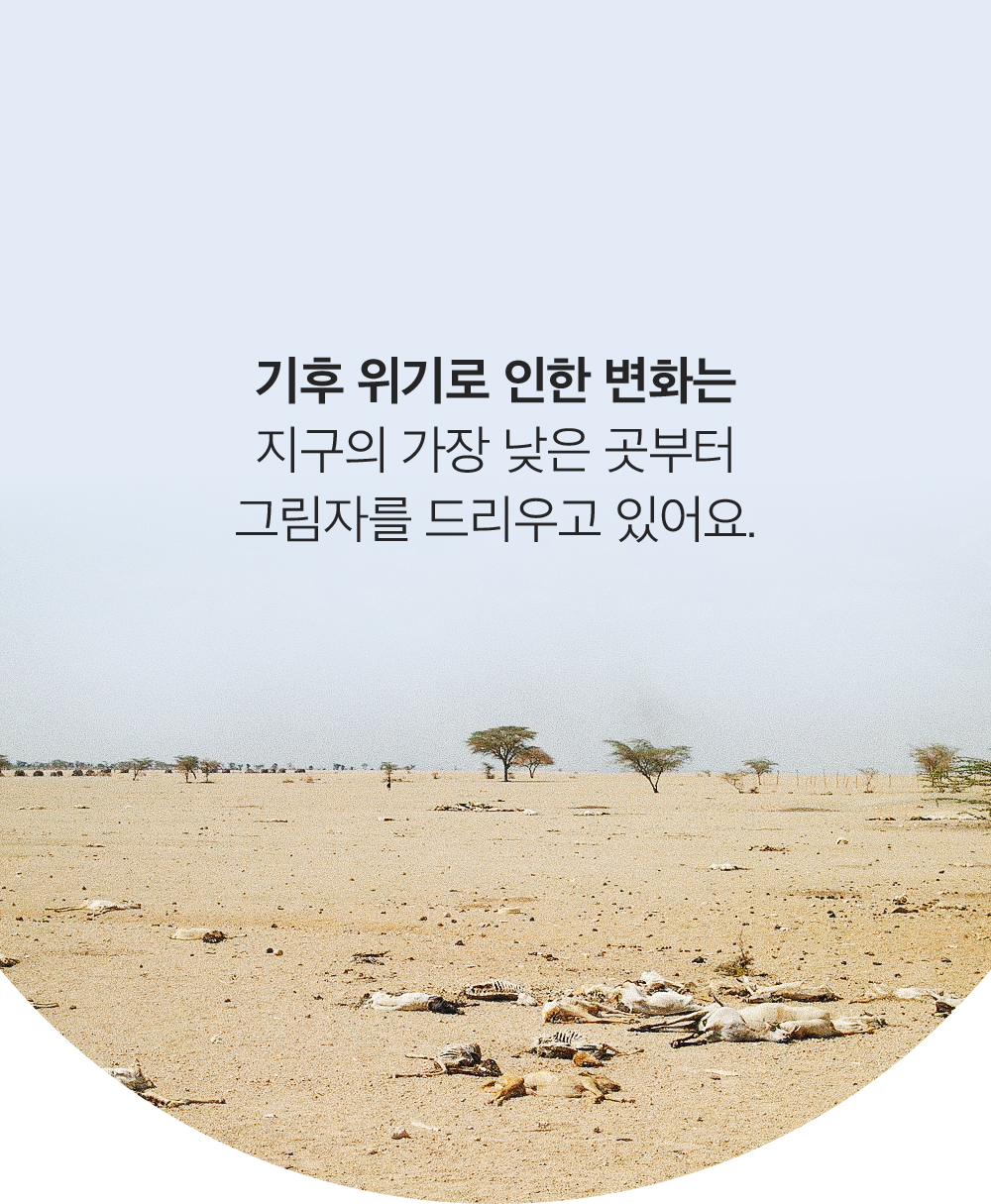 z2.jpg