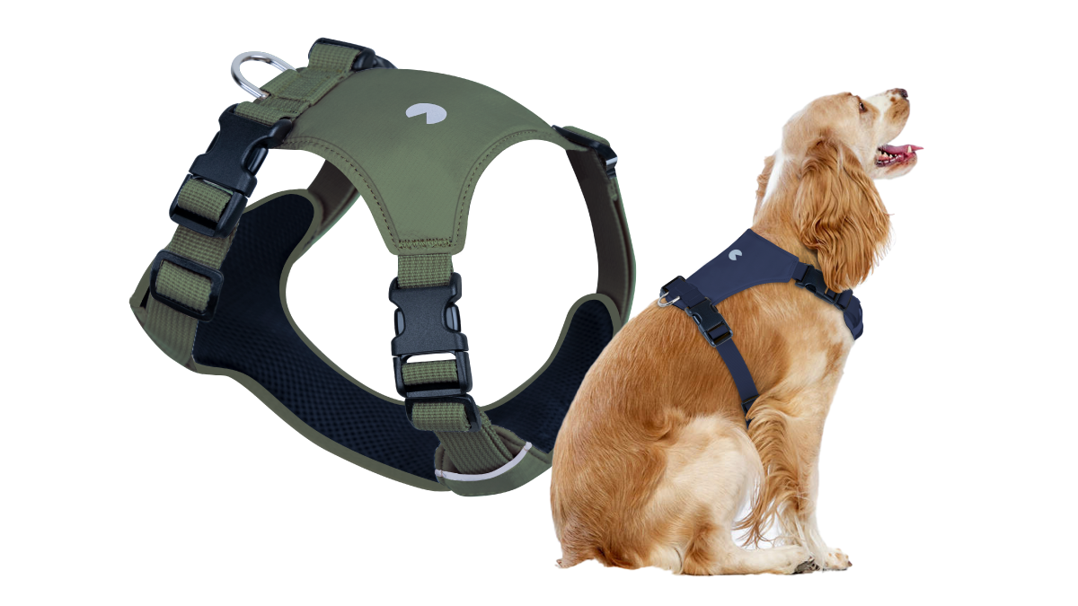 [No-Touch轻便背带] 不碰头脚，保持站立姿势！