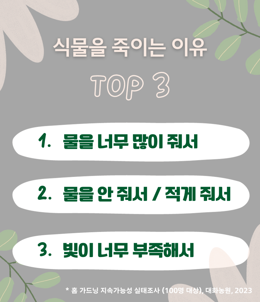 แแ
ฎแจแแ
ตแแ
ณแซแแ
ตแแ
กแแ
ตแแ
ฆแ.gif