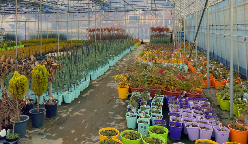 แแ
ฉแผแแ
กแผแแ
กแแ
ตแซ.png