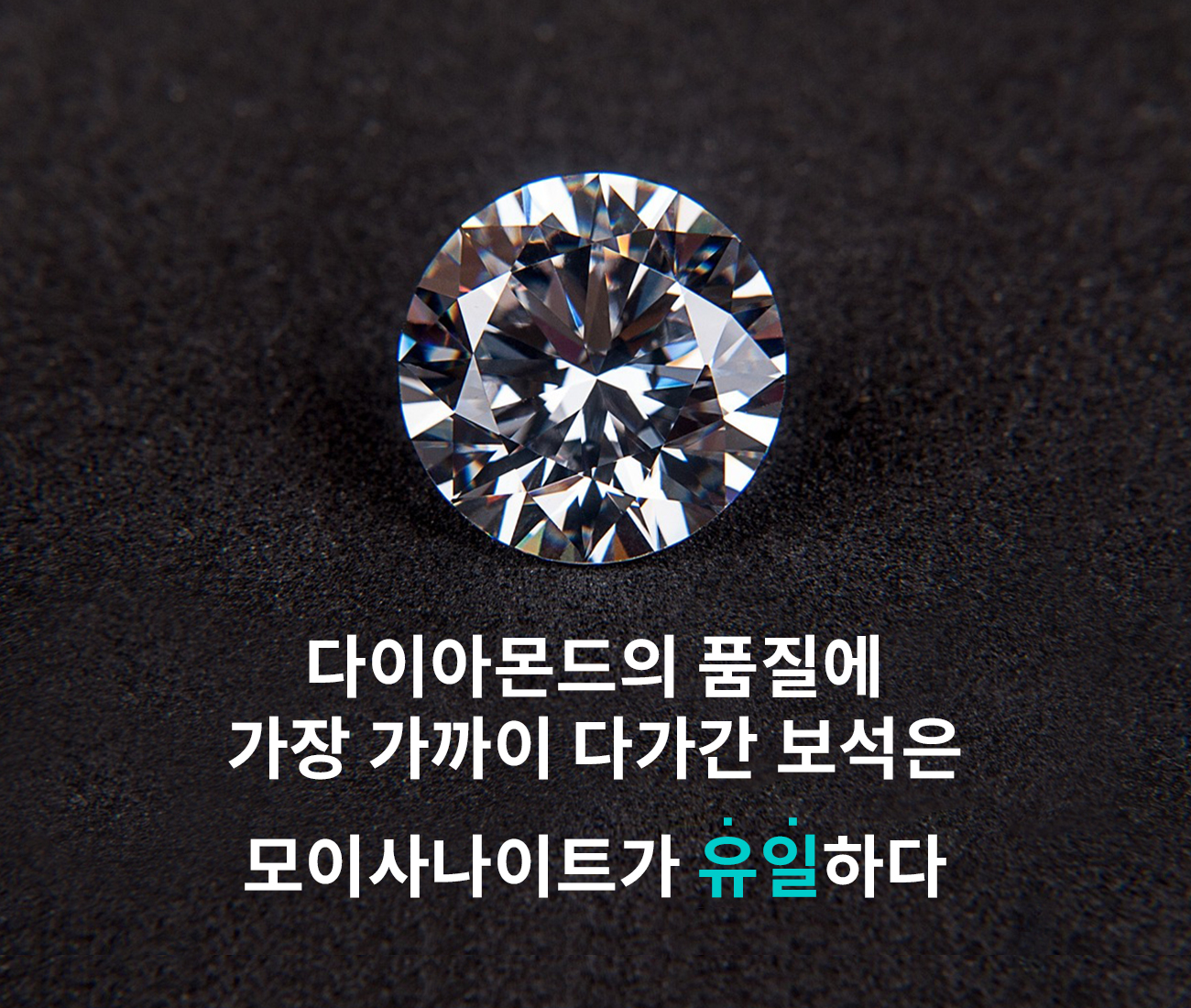 유일하다.jpg