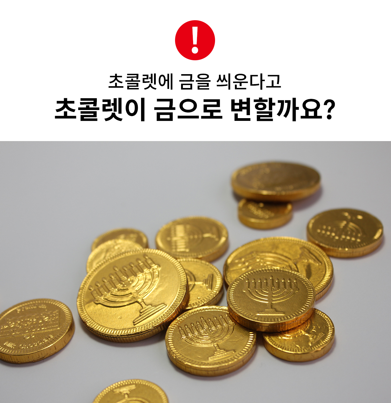 초코금.jpg