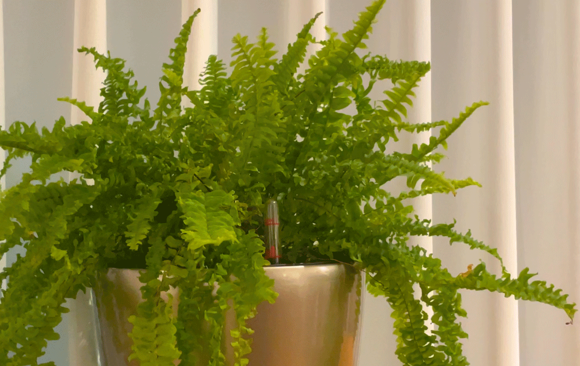 แแ
ฎแฏแแ
ฎแแ
ต(แแ
ฉแแ
ชแแ
ตแฏแแ
ญแผ).gif