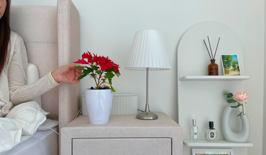 แแ
ฉแแ
ตแซแแ
ฆแ.png