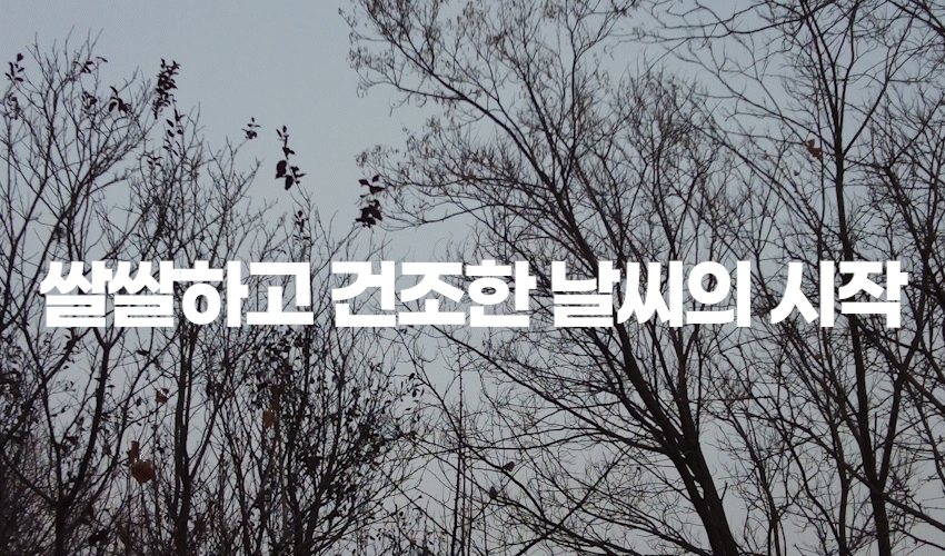 쌀쌀하고 건조한 날씨의 시작.gif