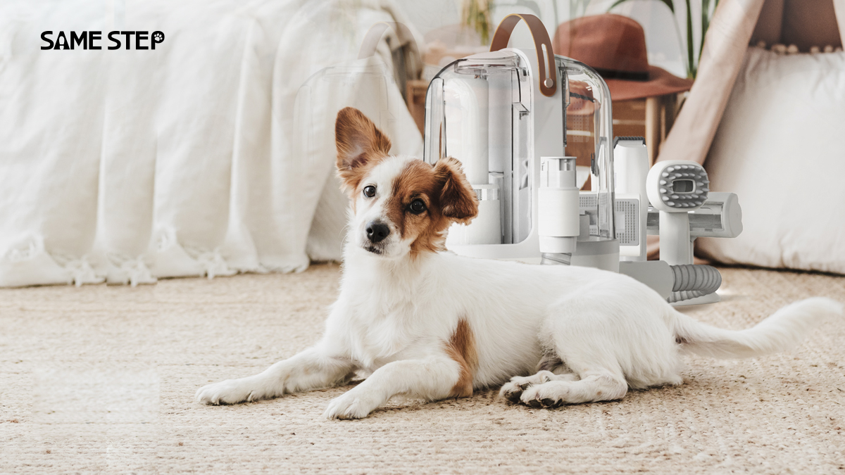 ワイヤレスの快適さ BLDCモーター搭載 ペットグルーミング機器の新境地