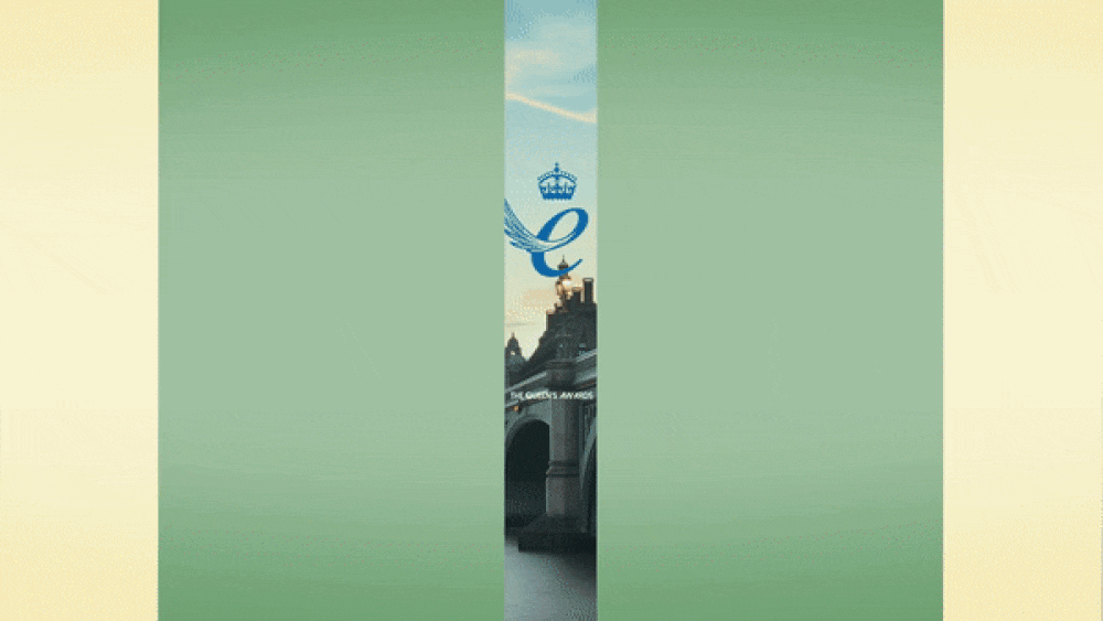55.gif