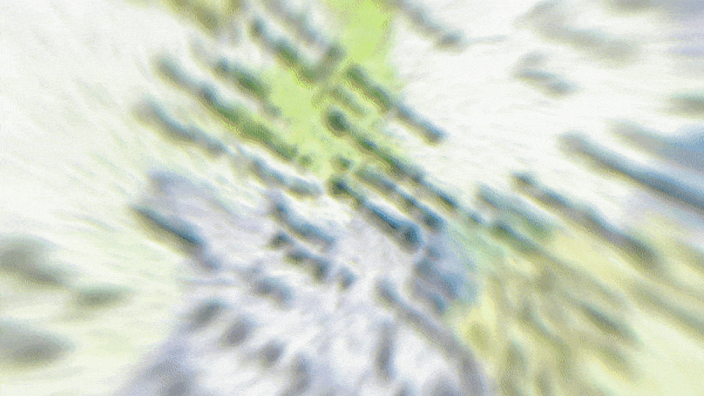 17.gif