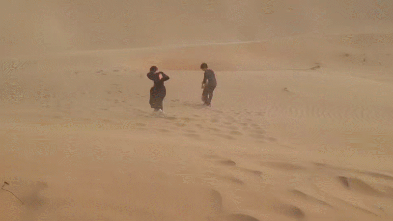 미나페이 알로에 카밍 세럼_04.gif