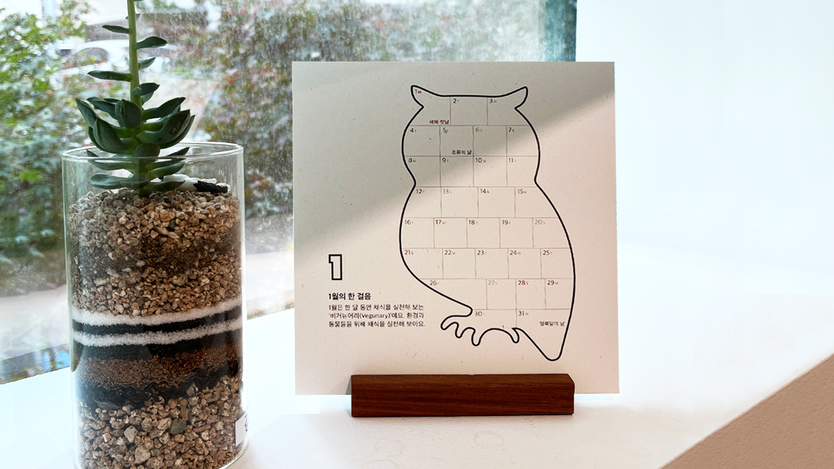 친환경 종이와 자투리 나무로 만든 2024 환경달력