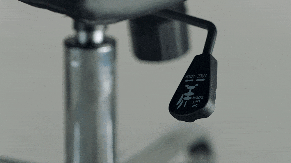 CITUS_03_05_G.gif
