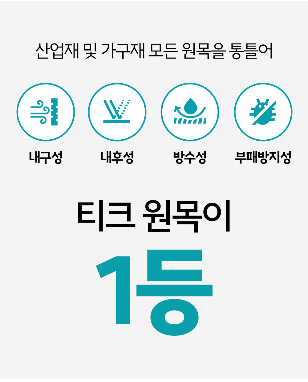 나무이상1_08.jpg