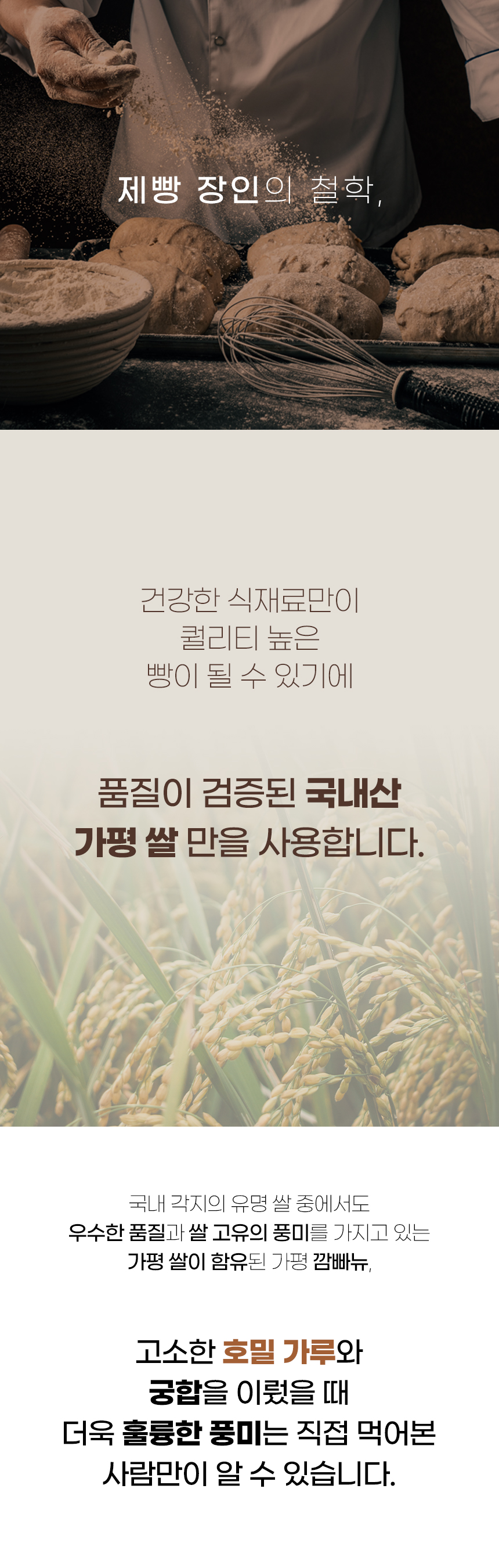 깜빠뉴-03_08.jpg